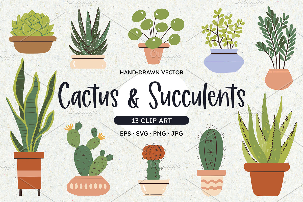 Cactus & Succulent Clip Art, an Object Illustration by insemar (Photo 1 of 4)