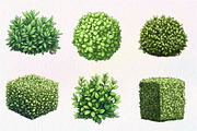 Watercolor Bushes Clipart Bundle, an Illustration by CreationArt (Thumbnail 4 of 6)
