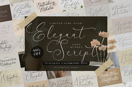 75 Elegant Script Font Bundle