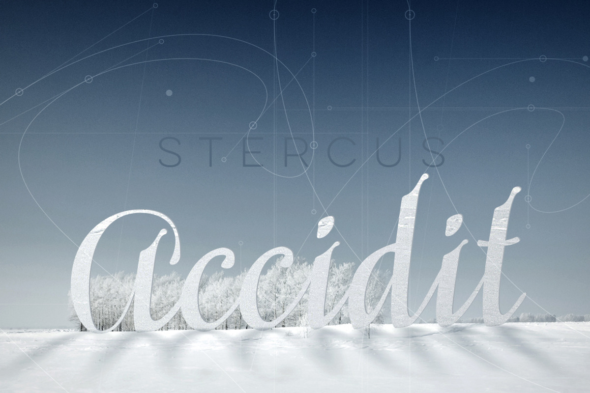 Siberius Clean Script Typeface, a Script Font by lissius (Photo 9 of 9)