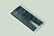 J U N I P E R  Branding Bundle!, a Packaging Mockup by 46&2 Collective (Thumbnail 9 of 21)