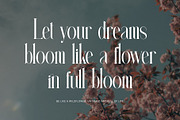 Neittgan Elegant Ligature Serif Font, a Serif Font by Perfectype (Thumbnail 5 of 6)