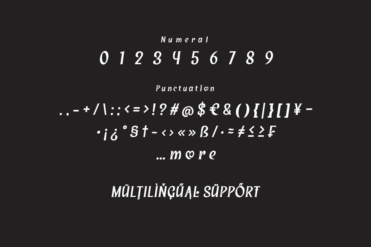 Saigren - Serif Display Font, a Serif Font by twinstd (Photo 6 of 10)