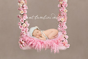 Newborn Photography Digital Backdrop