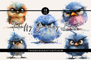 Fluffy Grumpy Bird PNG Clipart Set, an Animal Illustration by Geniecreativestudio
