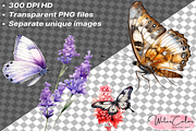 Botanical Butterfly Clipart Decor, a Decorative Illustration by Watercolor Digital (Thumbnail 7 of 9)