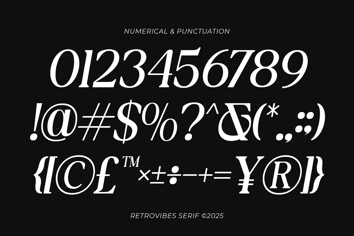 The Shuffle - Retro Serif Font, a Serif Font by Flawless And Co (Photo 8 of 10)