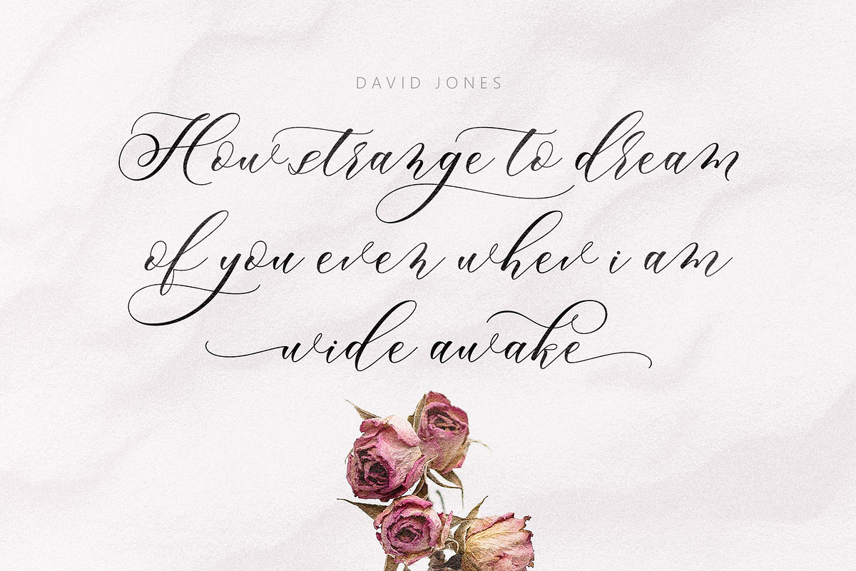 Merylanie Script, a Script Font by JamalCreativeStudio (Photo 5 of 8)