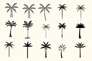 50 Palm Tree Vector Logos & Icons, an Outline Icon by Tropical Type (Thumbnail 3 of 7)