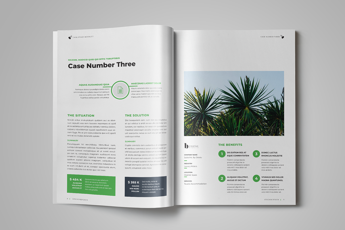 Case Study Booklet, a Templates & Theme by StockInDesign (Photo 5 of 10)
