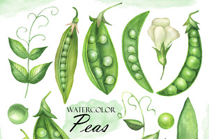 Watercolor Peas