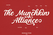 Wishmeluck – Bold Calligraphy Font, a Script Font by deadlock studio (Thumbnail 2 of 8)