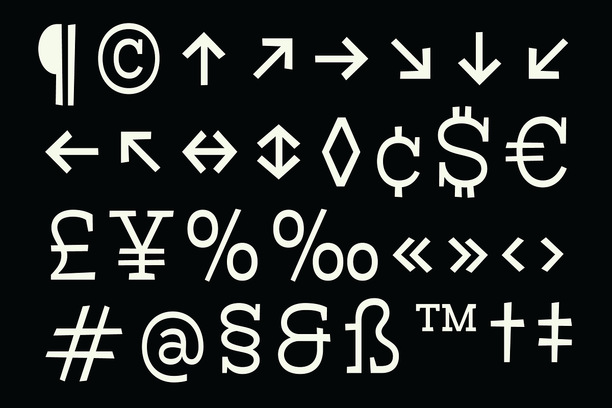 Bardamu – Happy & Weird Slab Serif, a Slab Serif Font by Eugene Tantsurin (Photo 14 of 15)