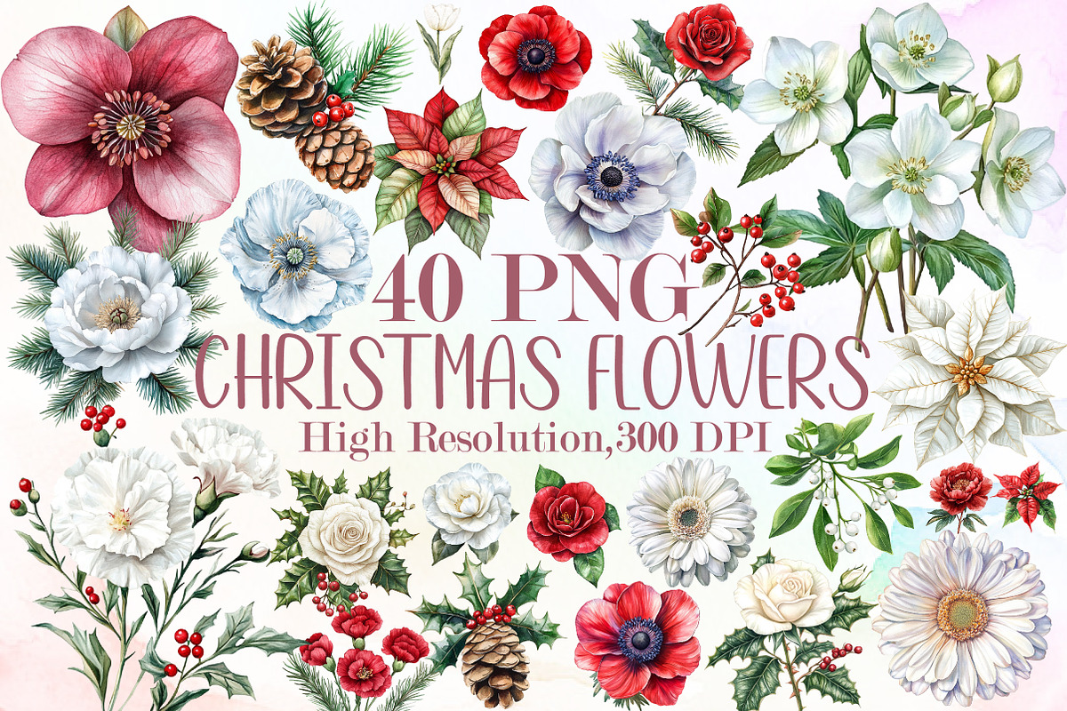 Watercolor Christmas Flowers Clipart, an Illustration by Sublimation Artist (Photo 1 of 6)