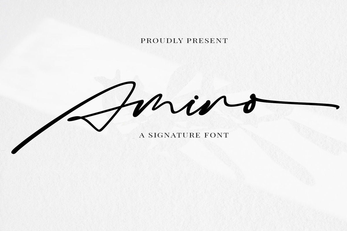 Amino - signature script, a Script Font by Fontcastle (Photo 1 of 5)