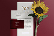 Aphrodite Elegant Sans Serif Font, a Font by UICreative (Thumbnail 3 of 12)