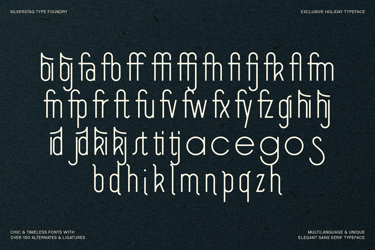 SLTF Holiday Whispers Typeface, a Sans Serif Font by SilverStag Type Foundry (Photo 18 of 20)