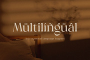 Ginger Bread, a Serif Font by ToniStudio (Thumbnail 8 of 10)