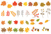 Autumn leaves clipart set, a Seasonal Illustration by Pravokrugulnik (Thumbnail 2 of 2)
