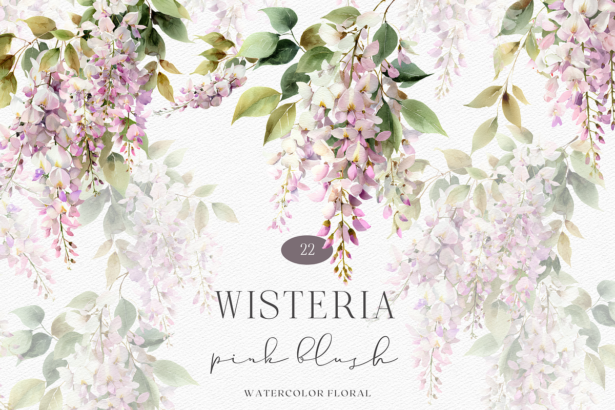 Watercolor Pink Wisteria Clipart, a Decorative Illustration by ThaismotaCreativeCo (Photo 1 of 11)