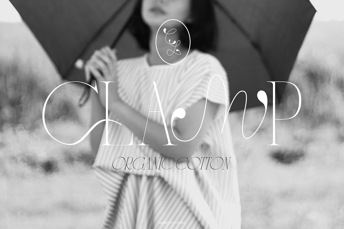 CYTRONI Modern Mix Font Duo, a Serif Font by ana & yvy (Photo 16 of 34)