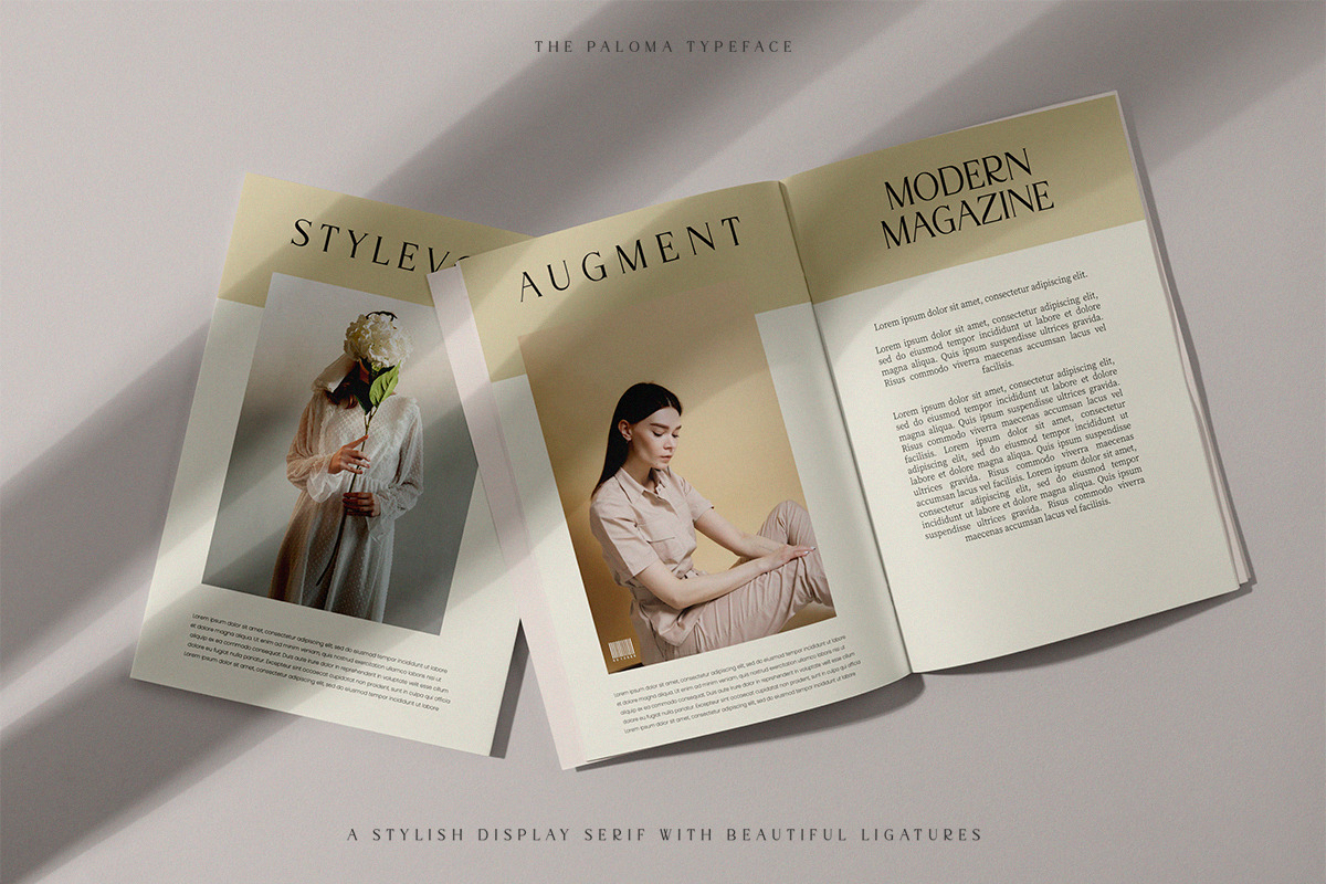 The Paloma - Modern Serif Font, a Serif Font by TypeFounder (Photo 4 of 10)