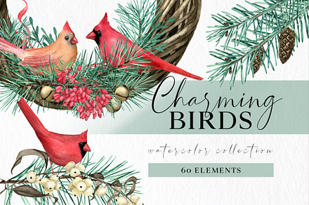Christmas Teal Clipart Cardinal Bird