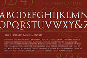 PKG Roman Capitals, a Serif Font by Posterizer KG (Thumbnail 4 of 6)
