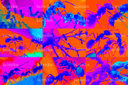 30 Psychedelic Ant Backgrounds, an Animal Illustration by Incomelion (Thumbnail 3 of 11)