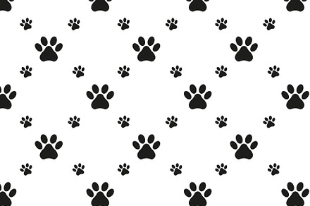 pet
