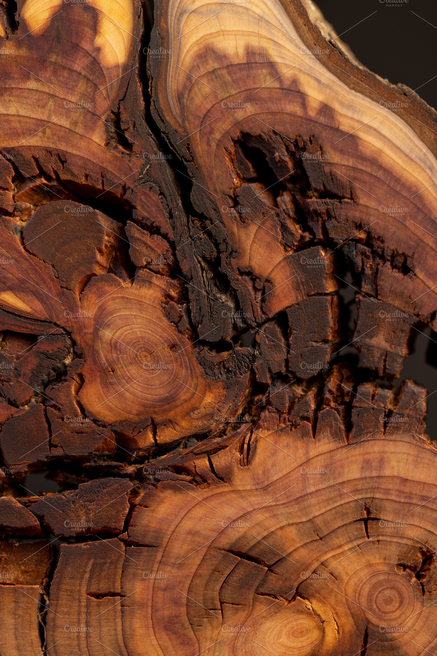 treated wood of the larch tree with annual rings, treated for decoration a sect, a Photo by rsoollAI