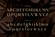 Magire - Lavish Luxury Font, a Serif Font by Sensatype (Thumbnail 11 of 12)