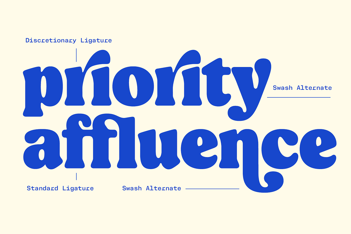 Berliner Typeface, a Serif Font by Fenotype (Photo 5 of 15)