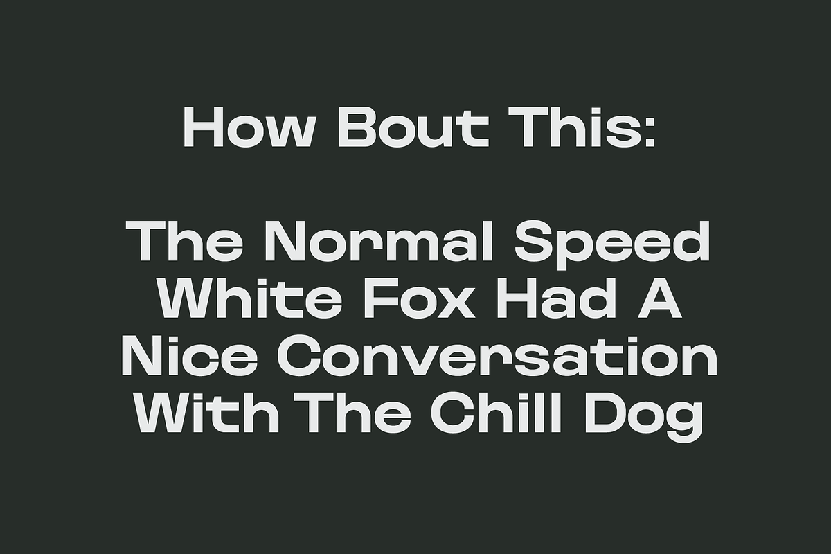 Kurdis Font Family (30 Styles), a Sans Serif Font by That That Creative (Photo 7 of 15)