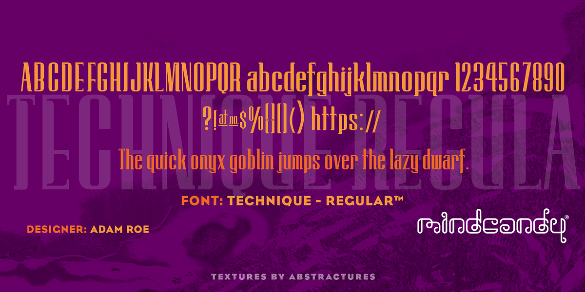 Technique™, a Serif Font by MINDCANDY (Photo 1 of 2)