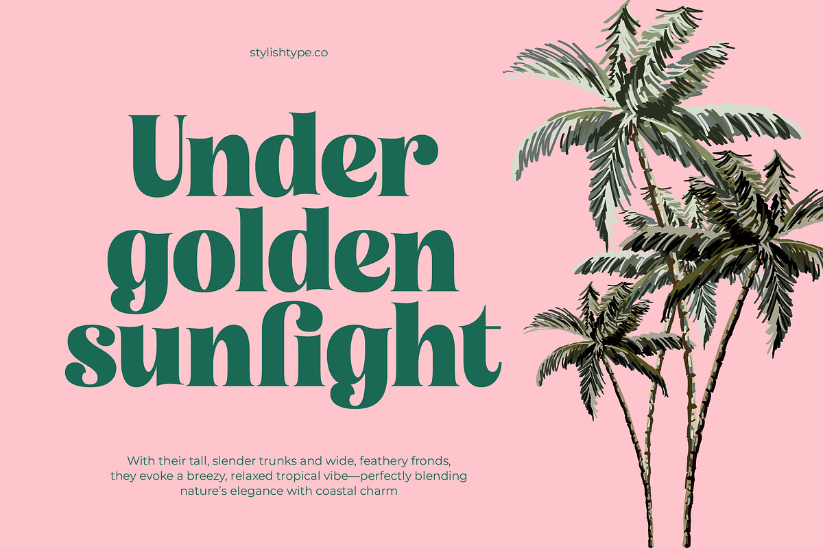 Tropic Fresh Bold Vintage Serif, a Serif Font by timelesstype.co (Photo 10 of 20)