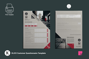 OLiCO Customer Questionnaire