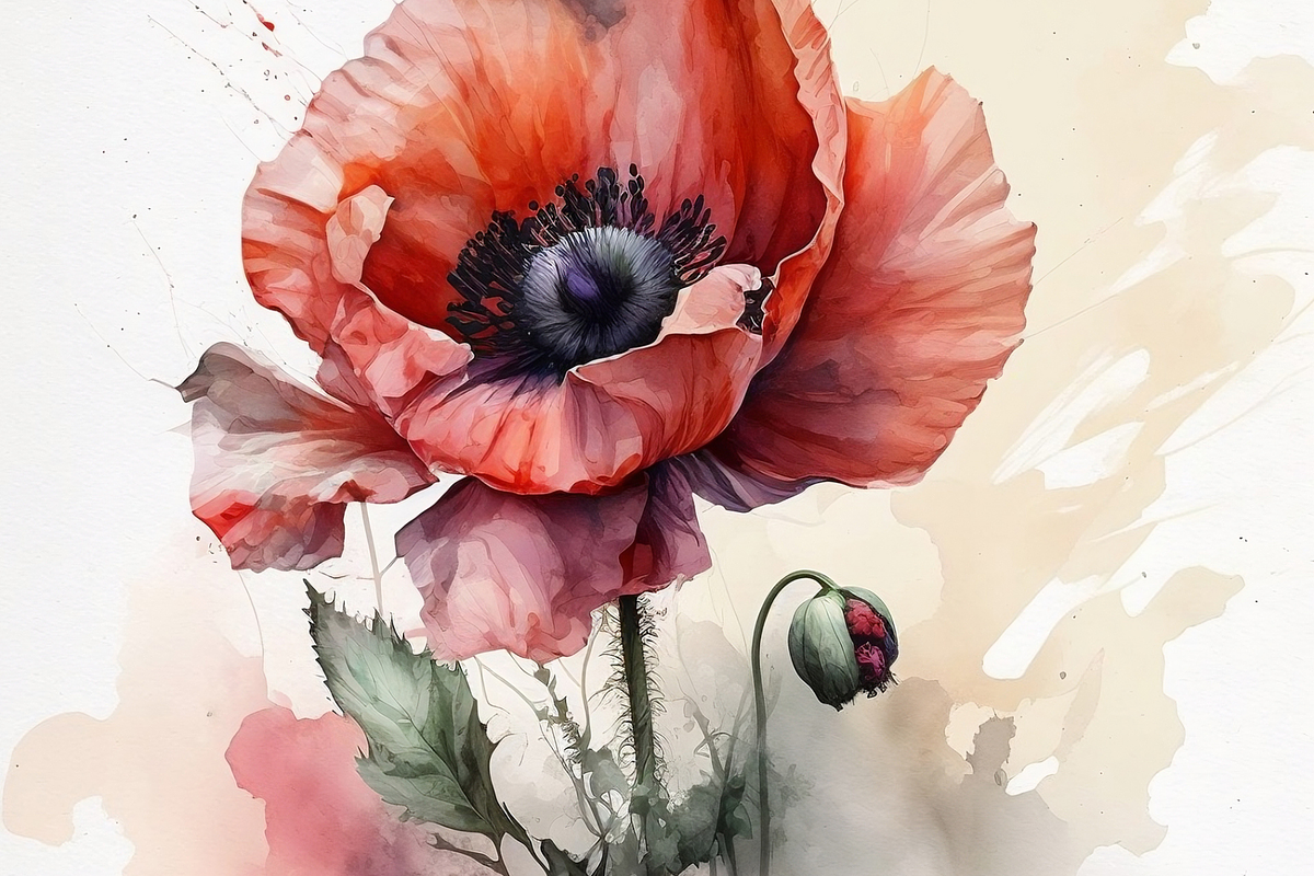 Watercolor Flowers Collection, a Decorative Illustration by Cam' Studio (Photo 8 of 9)