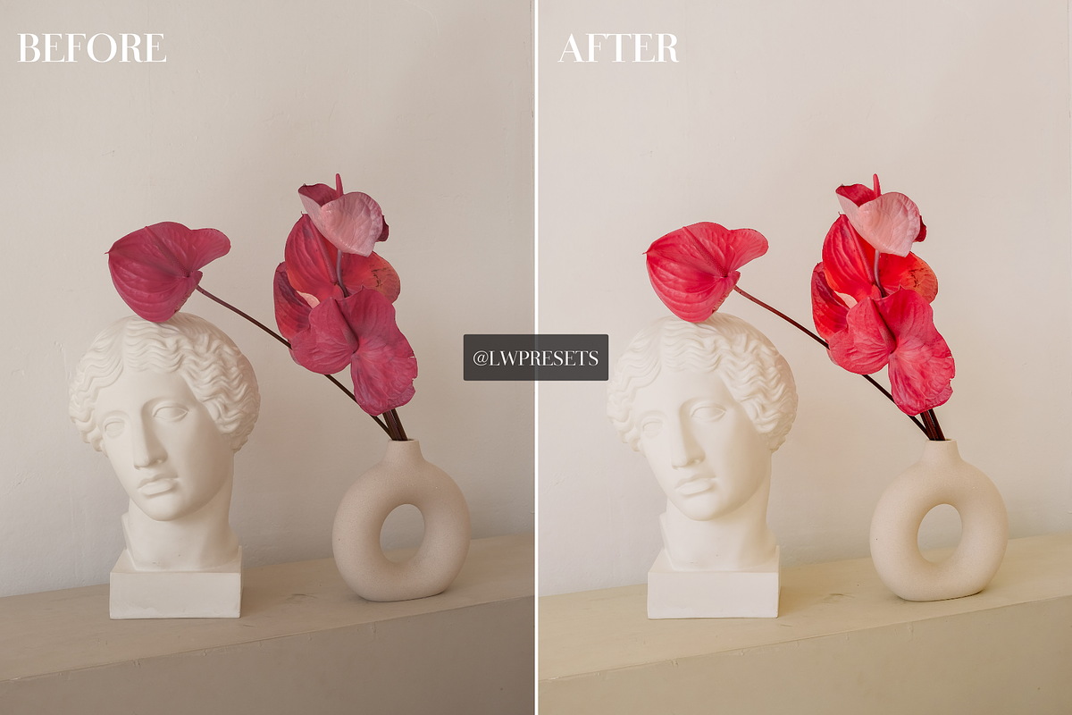 12 Vibrant Lightroom Presets, a Preset Add-On by LWPRESETS (Photo 9 of 9)