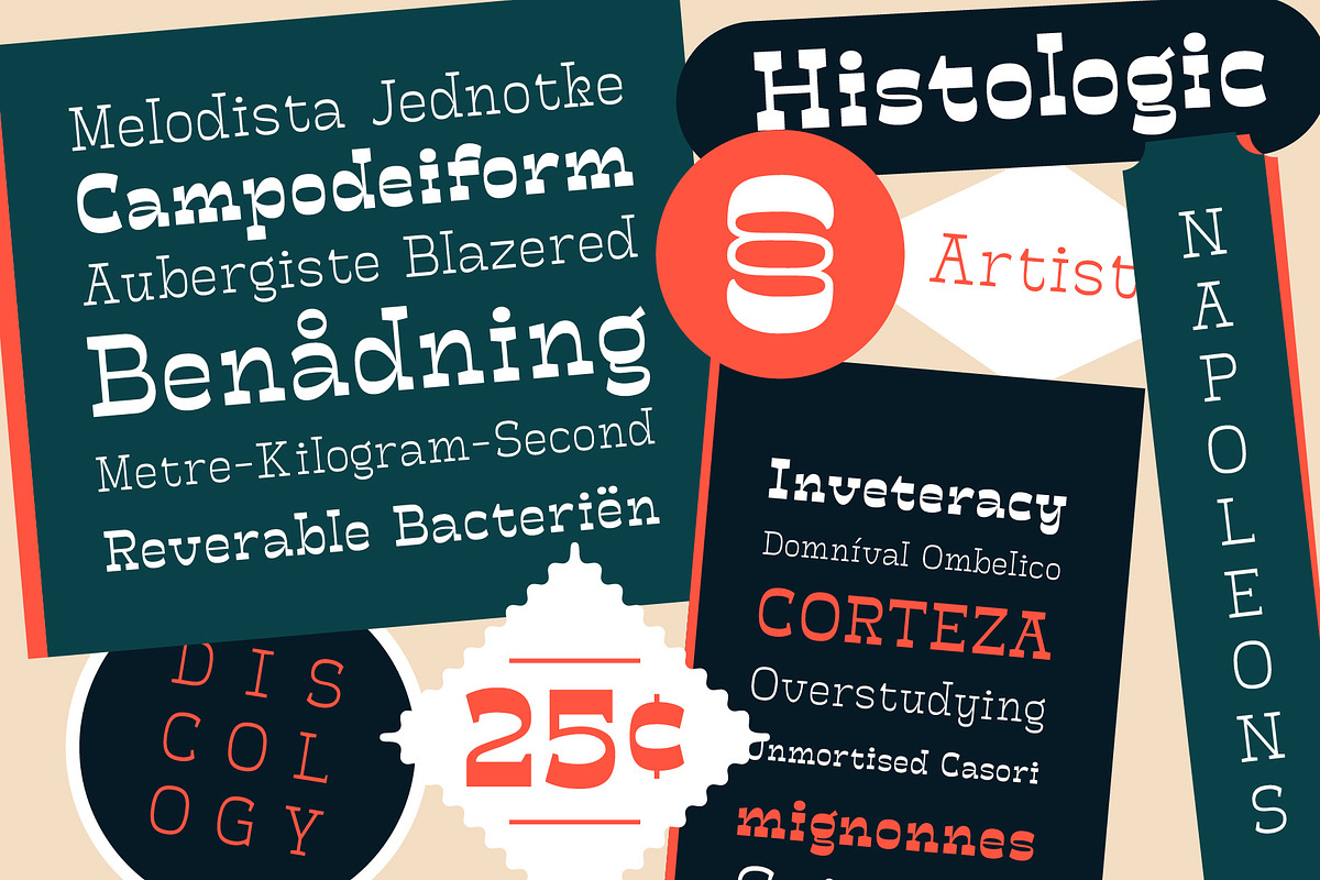 Mionic - Variable Inverted Contrast, a Serif Font by Adam Fathony (Photo 2 of 14)