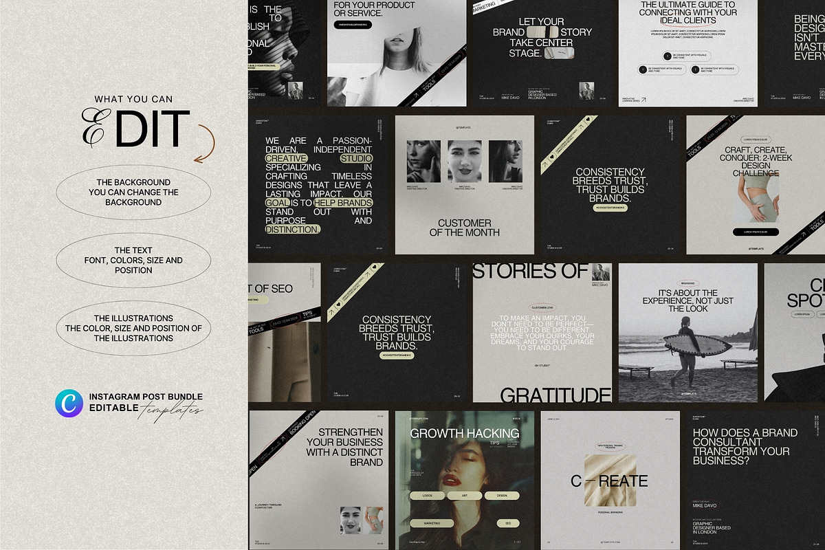 Luxury Canva Social Media Pack, a Social Media Template by Prapti Design (Photo 8 of 9)
