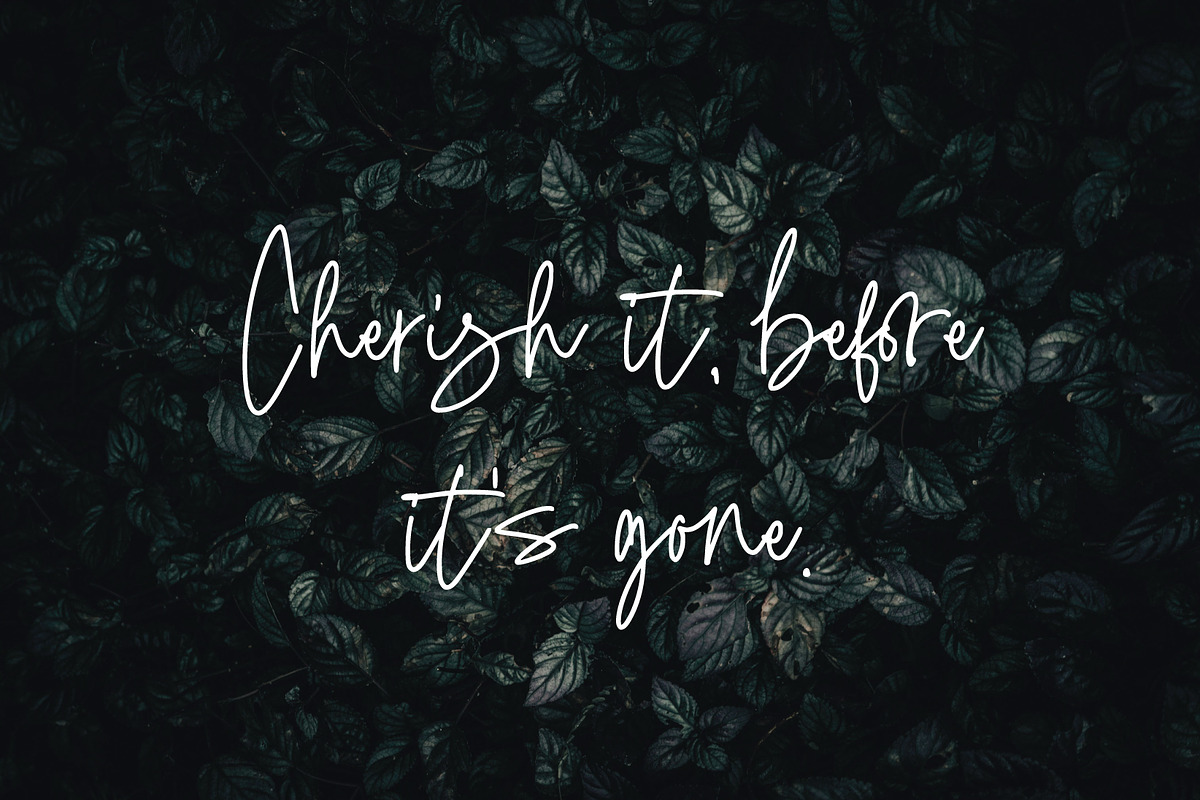 Gracelin Signature, a Handwritten Font by Eltypesstudio (Photo 10 of 10)