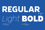 Rohyt, a Sans Serif Font by Typesketchbook Foundry (Thumbnail 5 of 5)