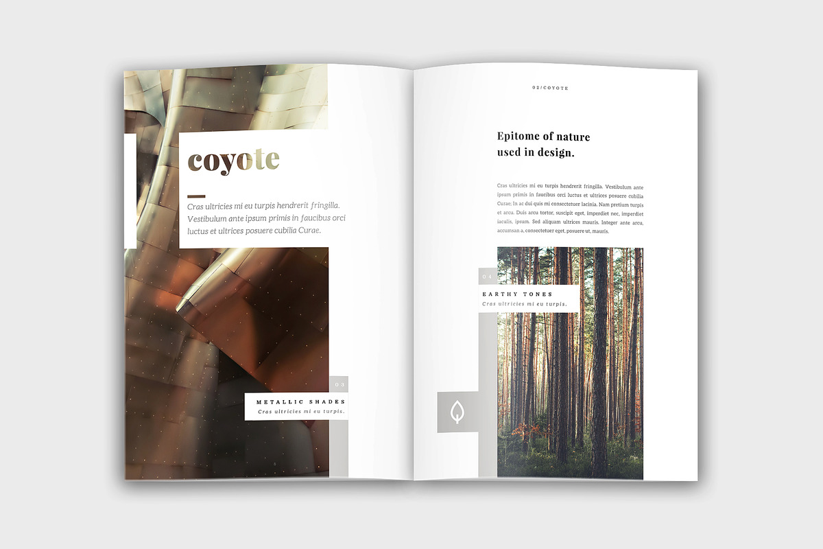 Colora - Bold, Clean Portfolio, a Brochure Template by velvetmade.designs (Photo 5 of 17)