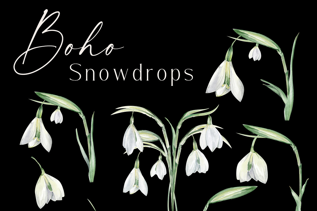 Watercolor Snowdrops, an Object Illustration by Olga Koelsch (Photo 4 of 8)