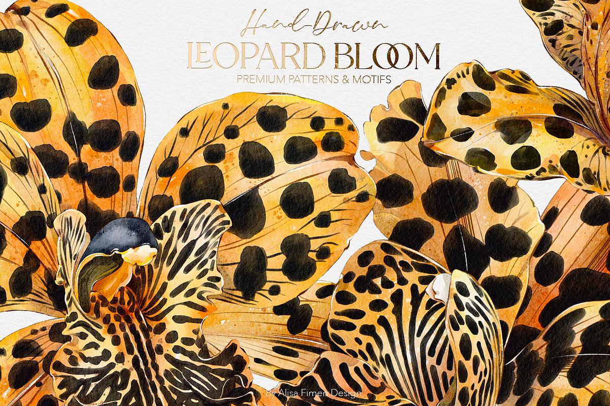 Leopard Bloom - Patterns & Motifs, a Pattern Graphic by Alisa Fimen Design (Photo 1 of 11)