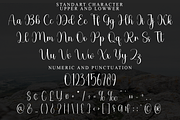 Valentines, a Handwritten Font by FreshTypeINK (Thumbnail 4 of 8)