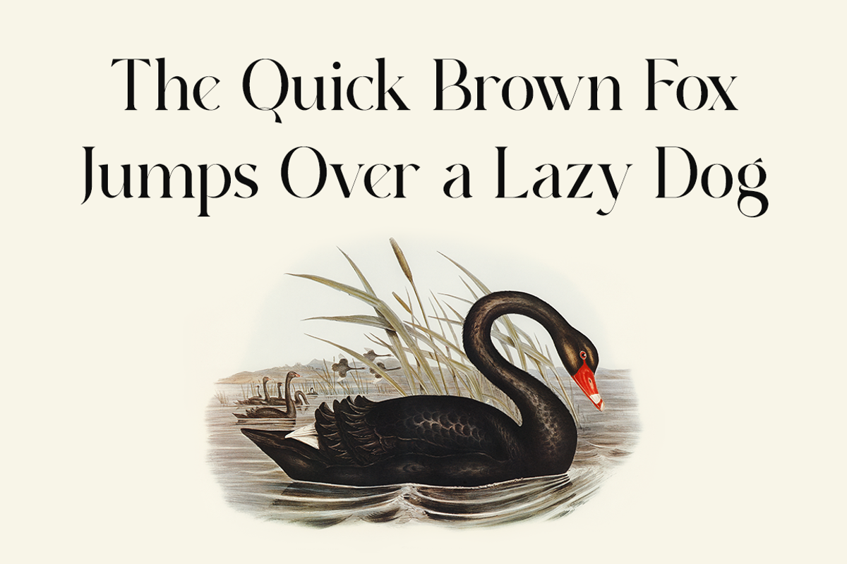 Agrabion - Elegant & Stylish Serif, a Serif Font by RockboyStd (Photo 6 of 12)