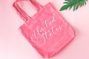 Pertysh Tulipita Stylish Calligraphy, a Script Font by stylishtype.co (Thumbnail 7 of 20)