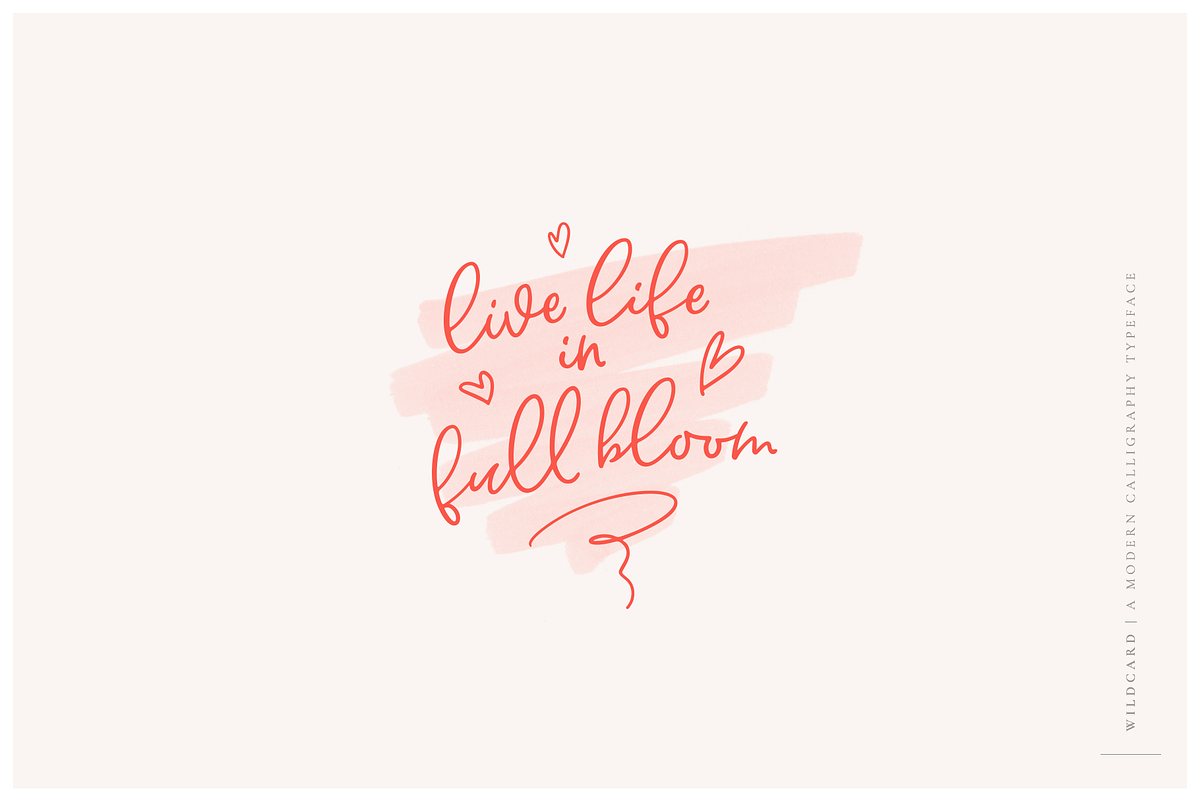 Wildcard | Modern Calligraphy Font preview 2